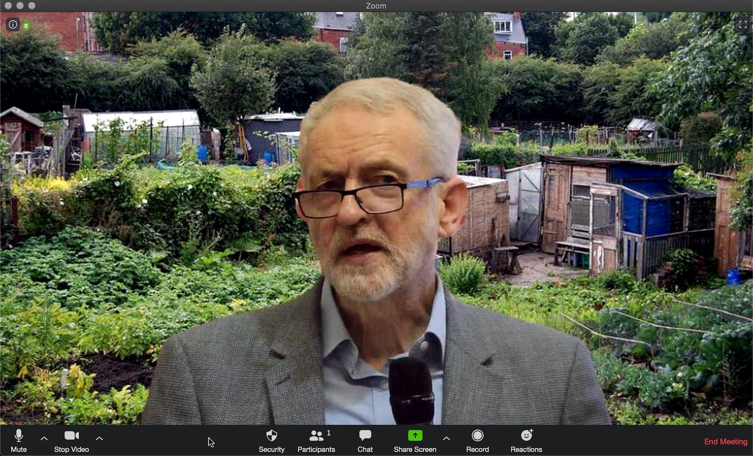 Jeremy Corbyn in his beloved allotment