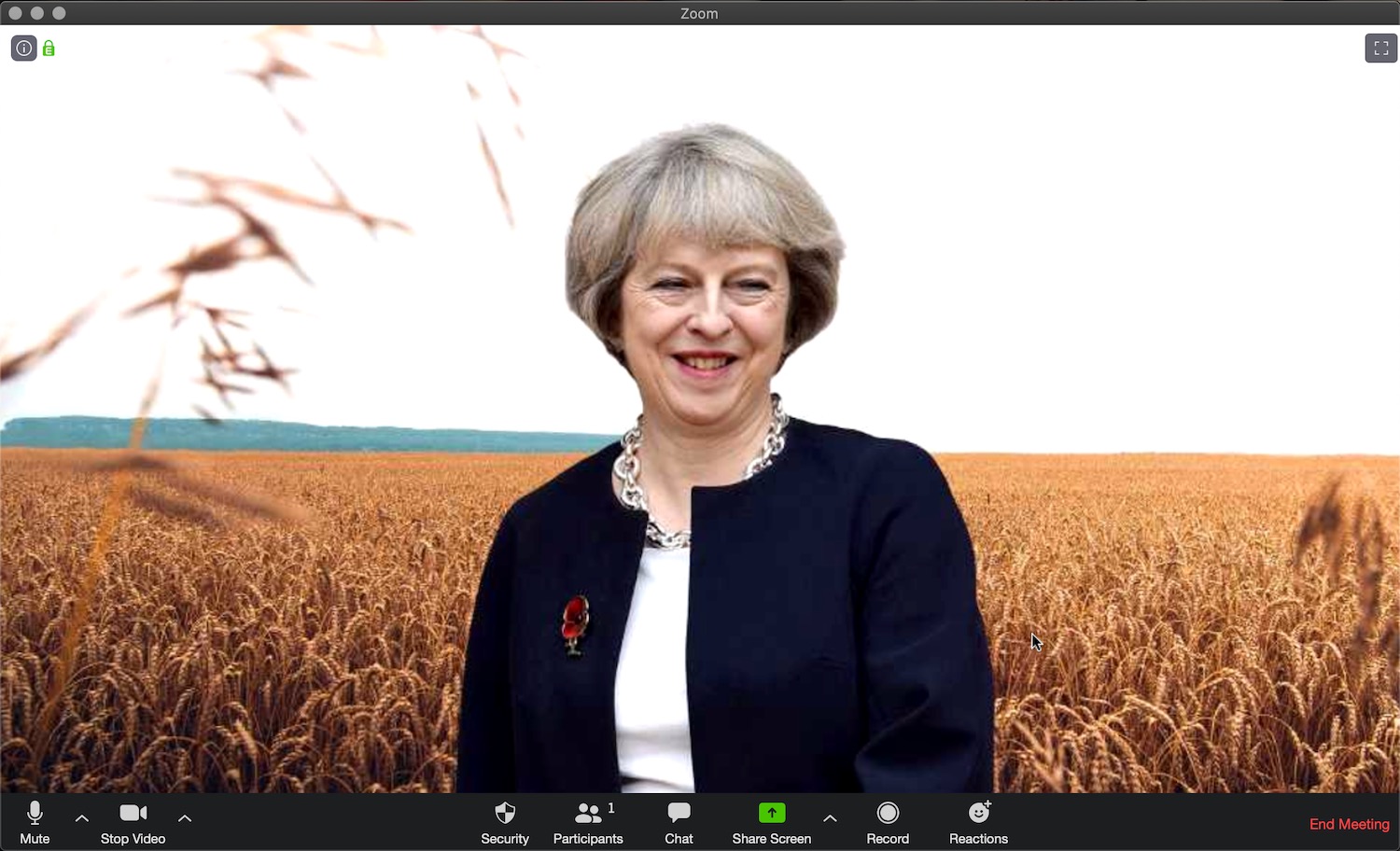 Theresa May in her natural habitat